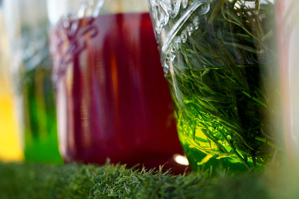 fermented gut food friendly what to
