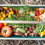 Food Good Gut Health: 7 Proven Ways to Avoid Painful Digestive Mistakes